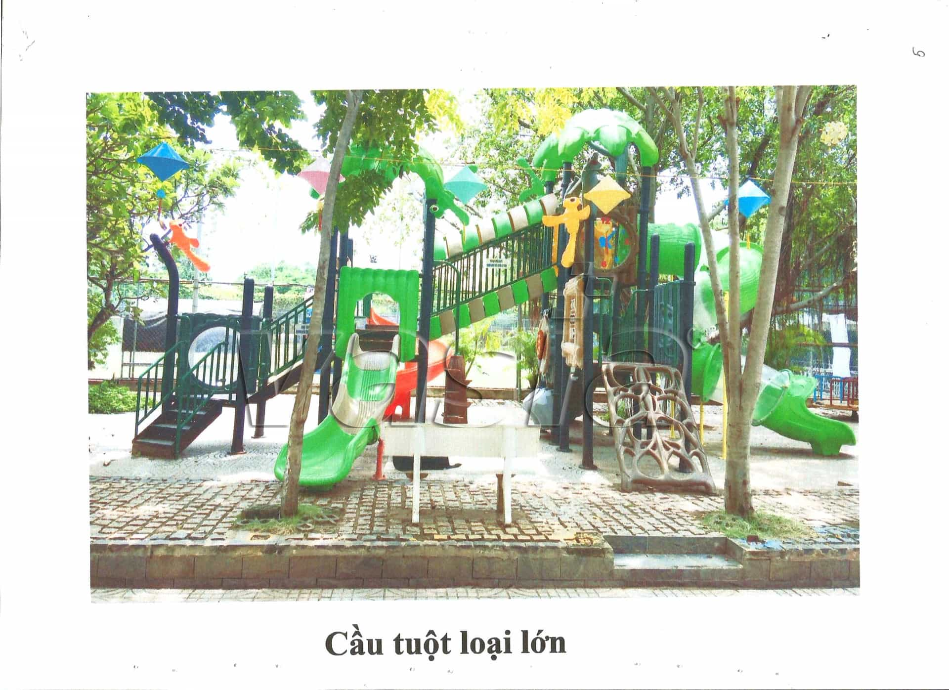 caso exitoso en polonia