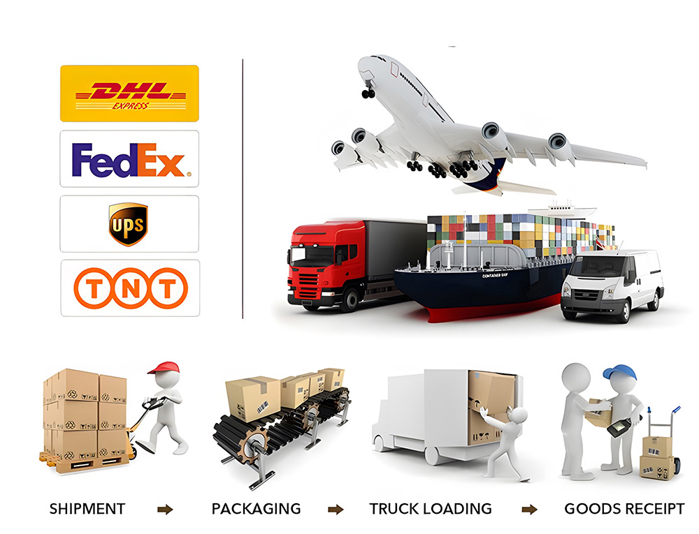 Selva interior C0046